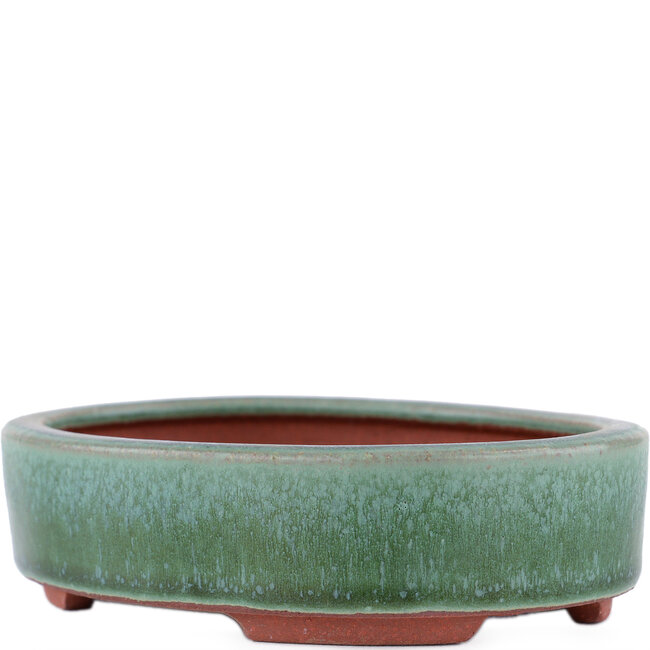 Oval green bonsai pot by Eime Yozan - 150 x 115 x 37 mm