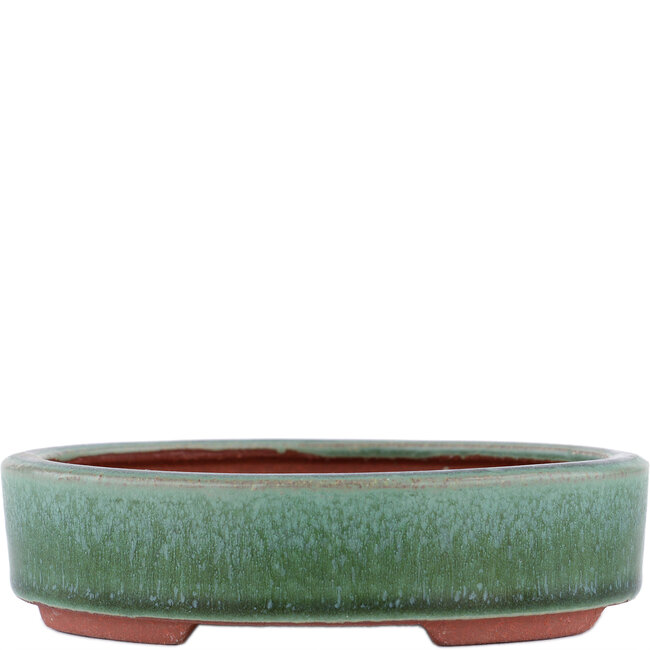 Ovale groene bonsaipot van Eime Yozan - 150 x 115 x 37 mm