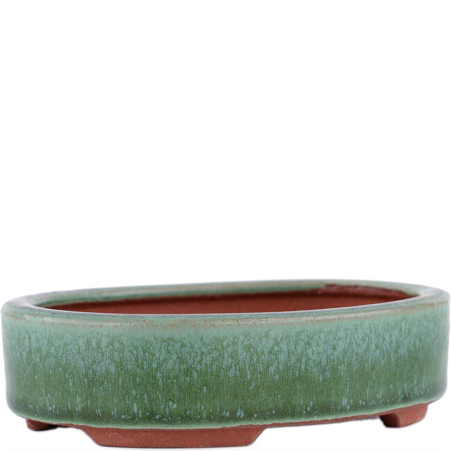 Pot à bonsaï ovale vert par Eime Yozan - 150 x 115 x 37 mm