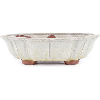 Eimei ( Yozan kiln) Maceta para bonsái de color blanquecino de 170 mm de Eime Yozan, Tokoname, Japón  Eimei ( Yozan kiln) Maceta para bonsái de color blanquecino de 170 mm de Eime Yozan, Tokoname, Japón