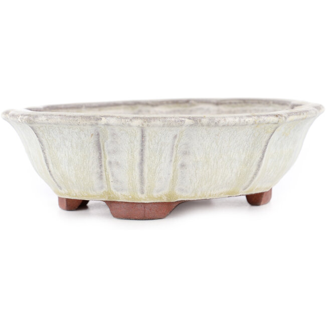 Mokko off-white bonsai pot by Eime Yozan - 170 x 145 x 45 mm