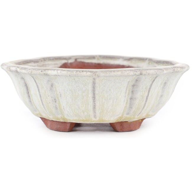 Vaso bonsai Mokko bianco sporco di Eime Yozan - 170 x 145 x 45 mm