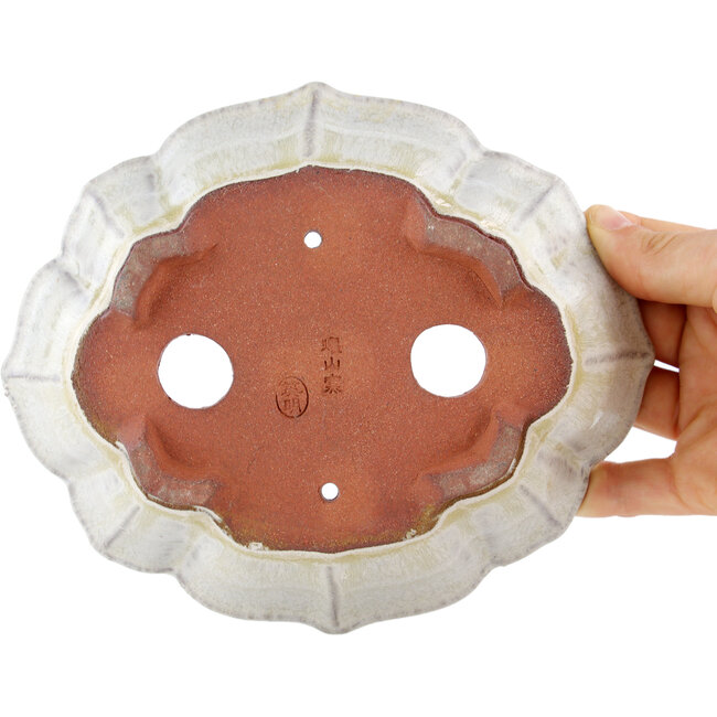 Maceta para bonsái Mokko blanco roto de Eime Yozan - 170 x 145 x 45 mm