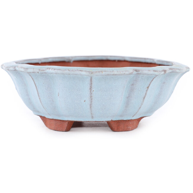 Mokko blauer Bonsaitopf von Eime Yozan – 170 x 145 x 45 mm