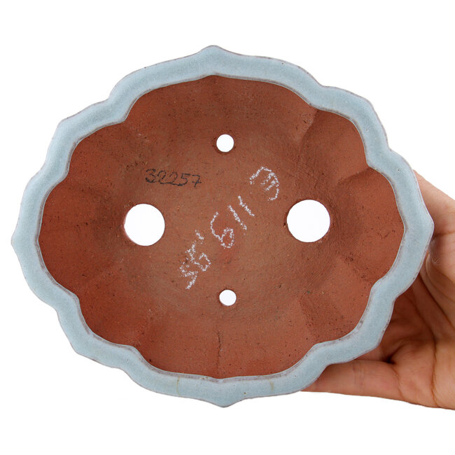 Maceta para bonsai Mokko azul de Eime Yozan - 170 x 145 x 45 mm