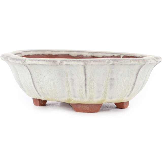 Vaso bonsai Mokko bianco sporco di Eime Yozan - 145 x 125 x 40 mm