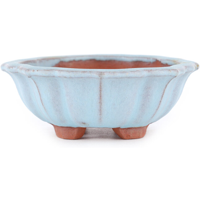 Maceta para bonsai Mokko azul de Eime Yozan - 145 x 125 x 40 mm