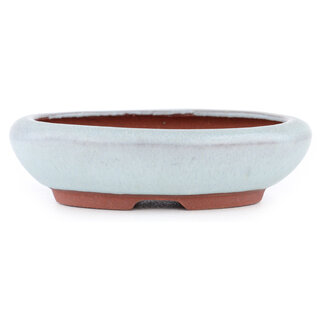  Eimei ( Yozan kiln) Pot à bonsaï blanc cassé 115 mm par Eime Yozan, Tokoname, Japon