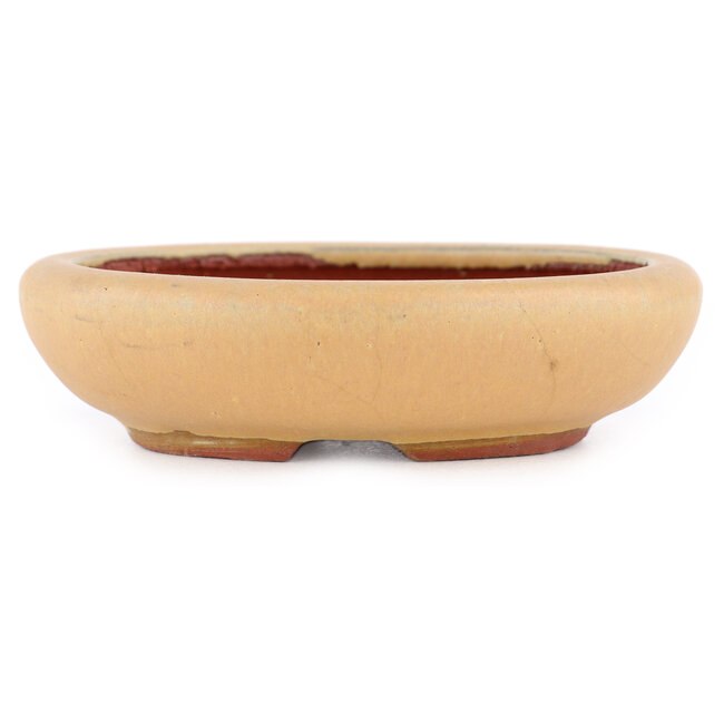 Pot à bonsaï ovale ocre par Eime Yozan - 120 x 100 x 30 mm
