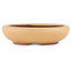 Vaso bonsai ovale ocra di Eime Yozan - 120 x 100 x 30 mm