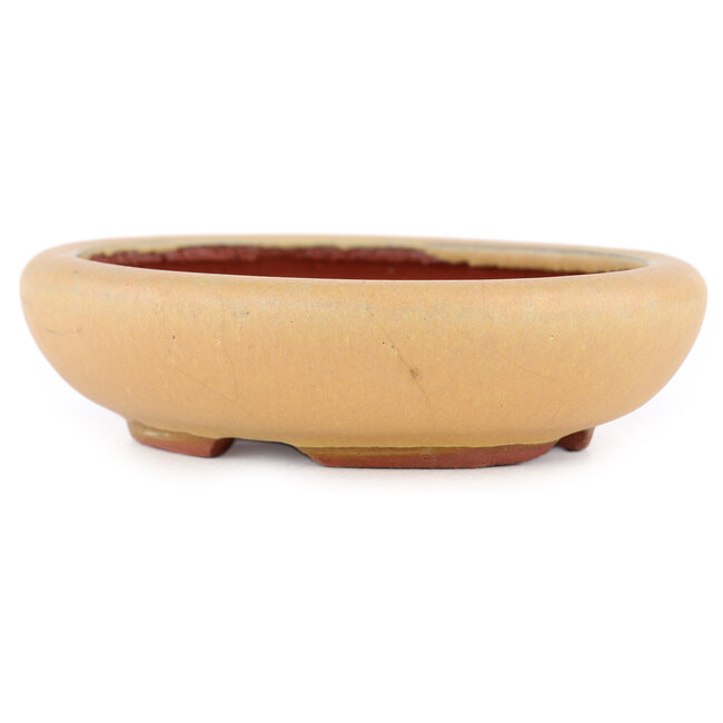 Oval ochre bonsai pot by Eime Yozan - 120 x 100 x 30 mm