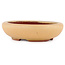 Vaso bonsai ovale ocra di Eime Yozan - 120 x 100 x 30 mm