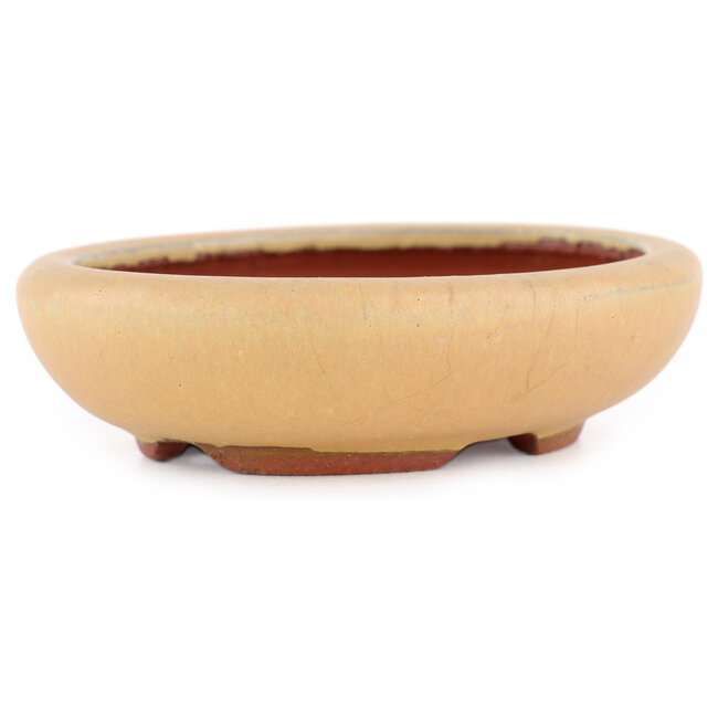 Vaso bonsai ovale ocra di Eime Yozan - 120 x 100 x 30 mm