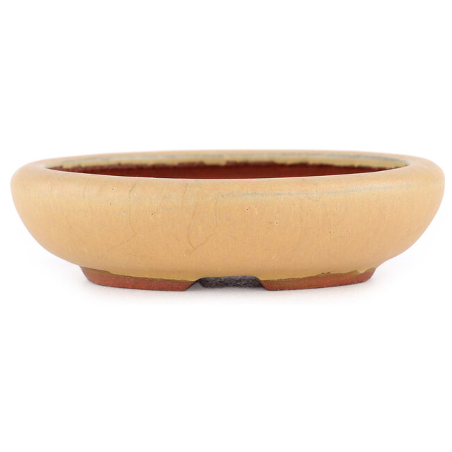 Oval ochre bonsai pot by Eime Yozan - 120 x 100 x 30 mm