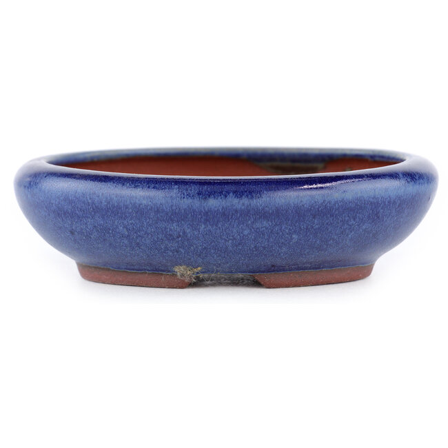Pot à bonsaï ovale bleu par Eime Yozan - 115 x 100 x 30 mm