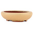 Vaso bonsai ovale ocra di Eime Yozan - 120 x 100 x 30 mm
