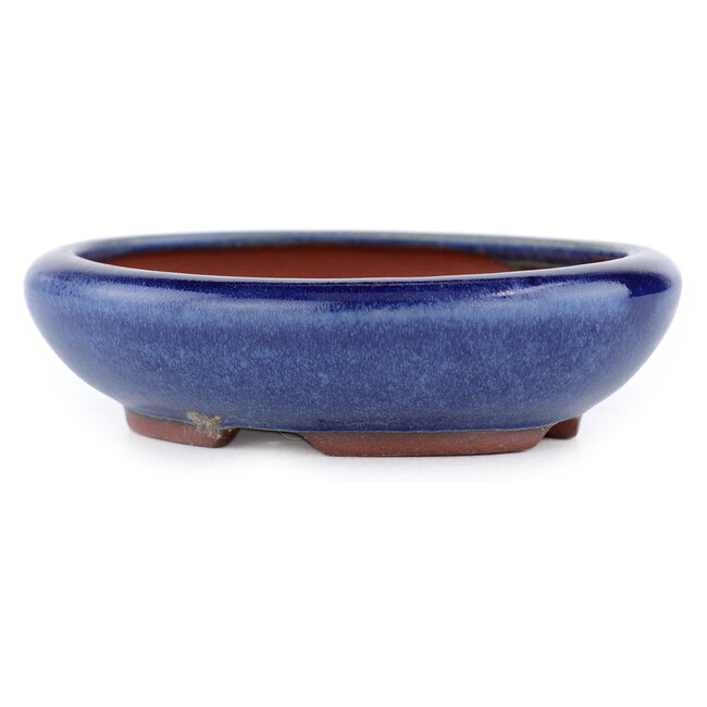 Pot à bonsaï ovale bleu par Eime Yozan - 115 x 100 x 30 mm