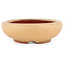 Vaso bonsai ovale ocra di Eime Yozan - 120 x 100 x 30 mm