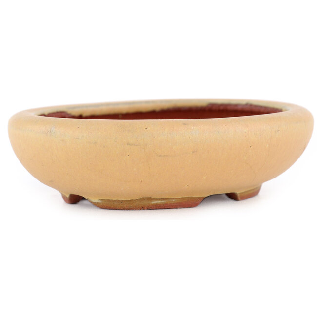Oval ochre bonsai pot by Eime Yozan - 120 x 100 x 30 mm
