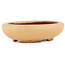Pot à bonsaï ovale ocre par Eime Yozan - 120 x 100 x 30 mm