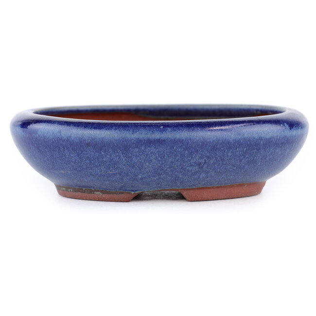 Ovaler blauer Bonsaitopf von Eime Yozan – 115 x 100 x 30 mm