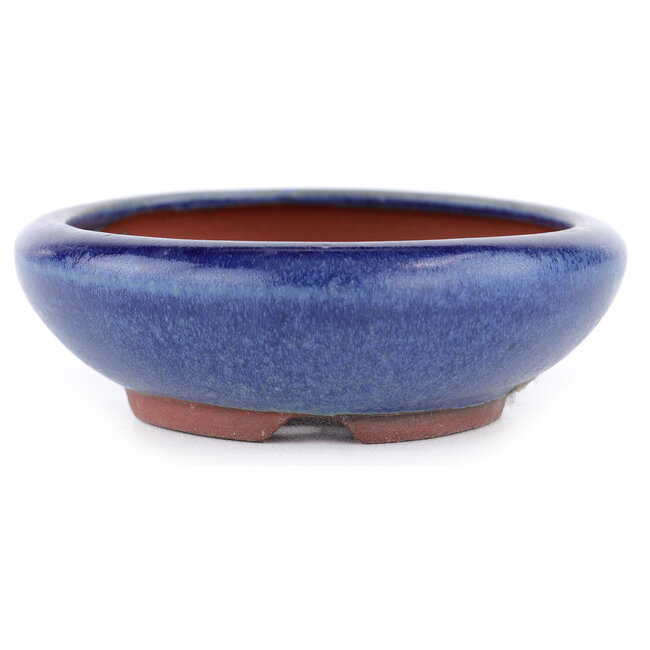 Maceta ovalada para bonsái azul de Eime Yozan - 115 x 100 x 30 mm