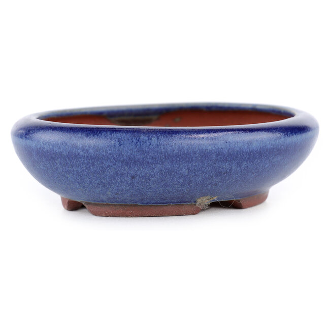 Pot à bonsaï ovale bleu par Eime Yozan - 115 x 100 x 30 mm