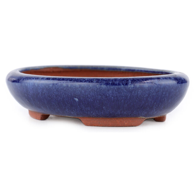 Oval blue bonsai pot by Eime Yozan - 145 x 115 x 35 mm