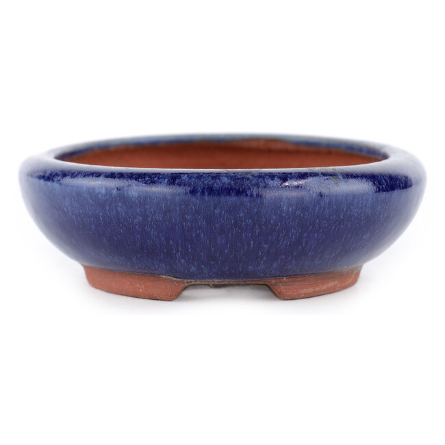Ovaler blauer Bonsaitopf von Eime Yozan – 145 x 115 x 35 mm
