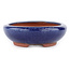 Oval blue bonsai pot by Eime Yozan - 145 x 115 x 35 mm