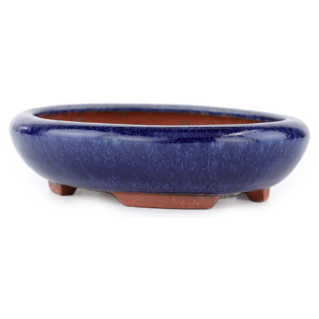 Vaso bonsai ovale blu di Eime Yozan - 145 x 115 x 35 mm