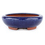 Pot à bonsaï ovale bleu par Eime Yozan - 145 x 115 x 35 mm