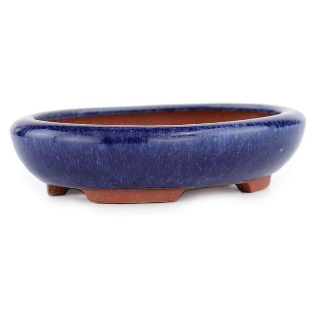 Ovale blauwe bonsaipot van Eime Yozan - 145 x 115 x 35 mm