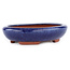 Maceta ovalada para bonsái azul de Eime Yozan - 145 x 115 x 35 mm