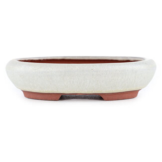  Eimei ( Yozan kiln) 145 mm gebroken witte bonsaipot van Eime Yozan, Tokoname, Japan