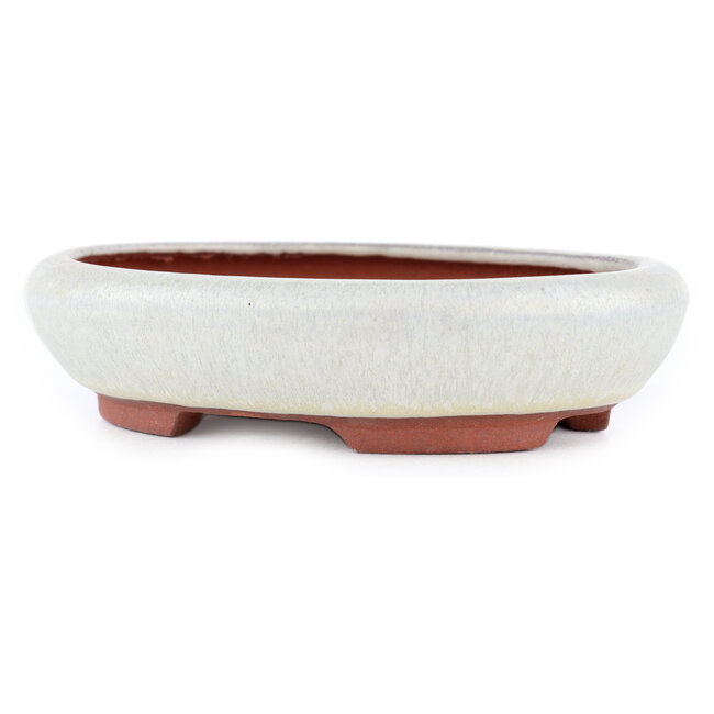 Vaso bonsai ovale bianco sporco di Eime Yozan - 145 x 115 x 35 mm
