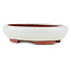 Oval off-white bonsai pot by Eime Yozan - 145 x 115 x 35 mm