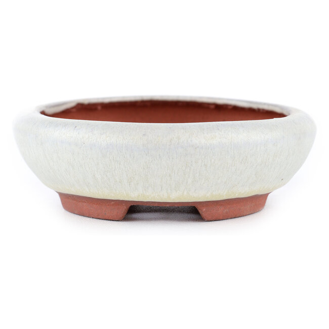 Ovale gebroken witte bonsaipot van Eime Yozan - 145 x 115 x 35 mm