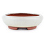 Pot à bonsaï ovale blanc cassé par Eime Yozan - 145 x 115 x 35 mm
