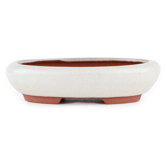 Eimei ( Yozan kiln) Maceta para bonsái color hueso de 145 mm de Eime Yozan, Tokoname, Japón  Eimei ( Yozan kiln) Maceta para bonsái color hueso de 145 mm de Eime Yozan, Tokoname, Japón