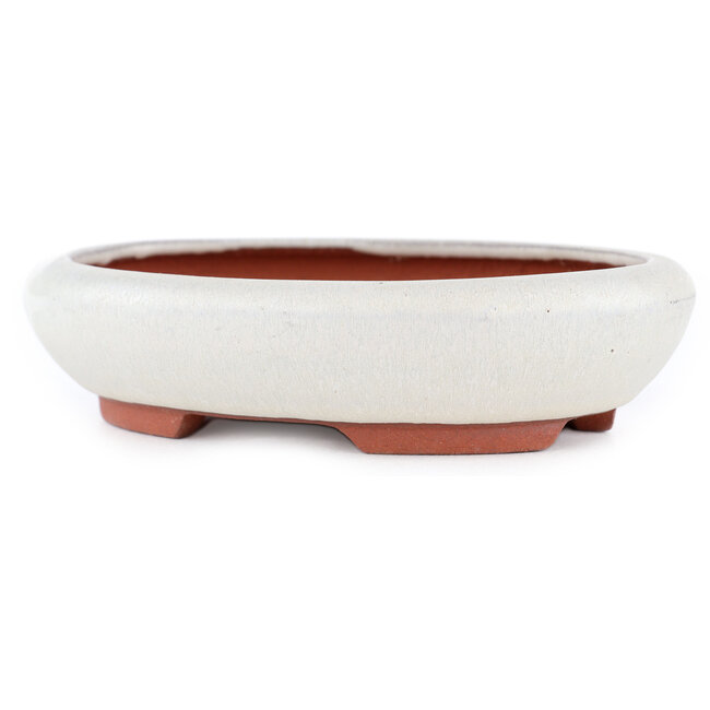 Ovale gebroken witte bonsaipot van Eime Yozan - 145 x 115 x 35 mm