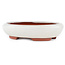 Maceta para bonsái ovalada blanco roto de Eime Yozan - 145 x 115 x 35 mm