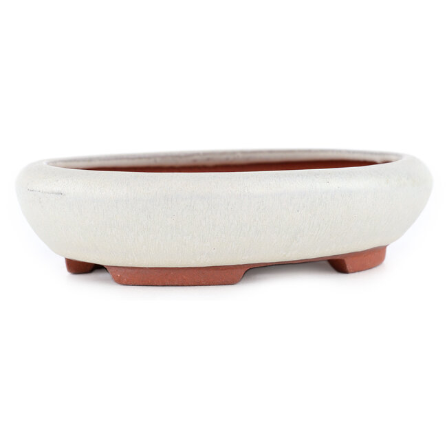 Oval off-white bonsai pot by Eime Yozan - 145 x 115 x 35 mm