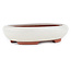 Oval off-white bonsai pot by Eime Yozan - 145 x 115 x 35 mm