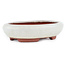 Pot à bonsaï ovale blanc cassé par Eime Yozan - 145 x 115 x 35 mm