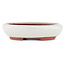 Oval off-white bonsai pot by Eime Yozan - 145 x 115 x 35 mm