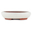 Ovale gebroken witte bonsaipot van Eime Yozan - 145 x 115 x 35 mm