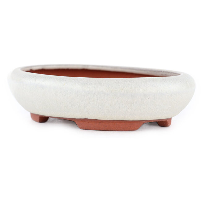 Ovale gebroken witte bonsaipot van Eime Yozan - 145 x 115 x 35 mm