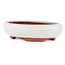 Oval off-white bonsai pot by Eime Yozan - 145 x 115 x 35 mm