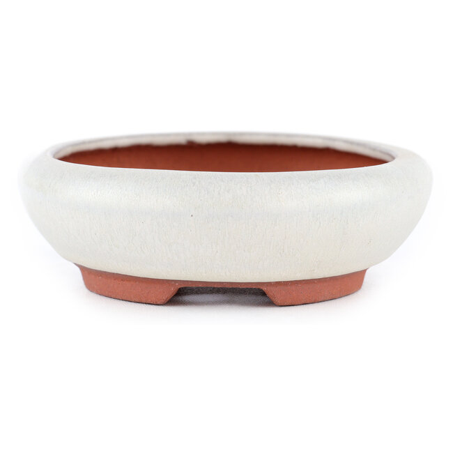 Vaso bonsai ovale bianco sporco di Eime Yozan - 145 x 115 x 35 mm